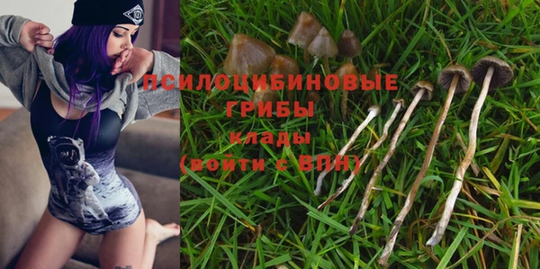 спиды Няндома