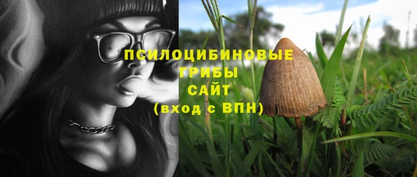 Альфа ПВП Новозыбков