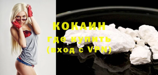 стафф Новокубанск