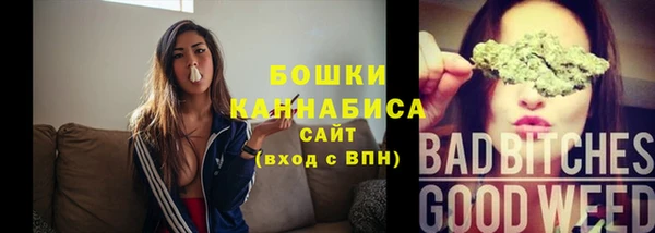 Альфа ПВП Новозыбков