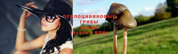 стафф Новокубанск