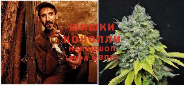 стафф Новокубанск