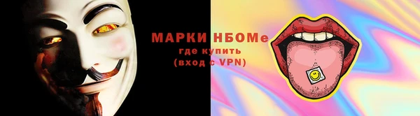 стафф Новокубанск