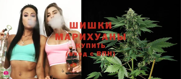 стафф Новокубанск