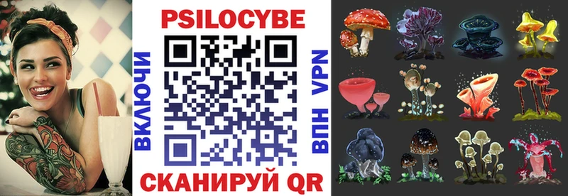 где продают наркотики  Павловск  мега как зайти  Галлюциногенные грибы Cubensis 